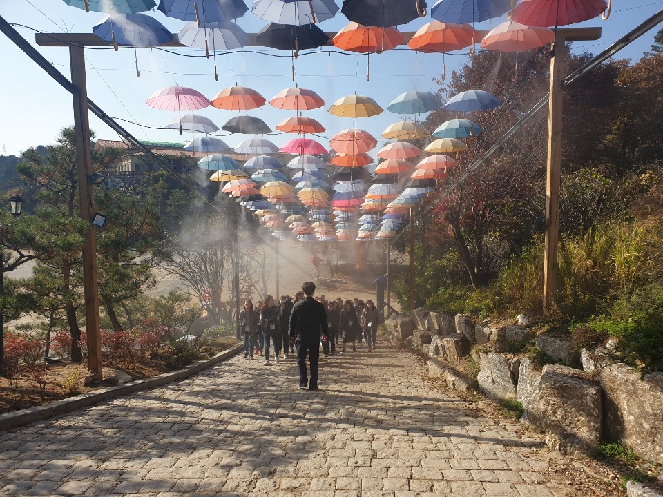 KakaoTalk_20191127_113116301.jpg
