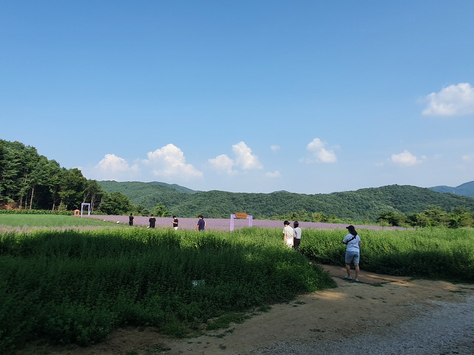 KakaoTalk_20200710_190059619_20.jpg